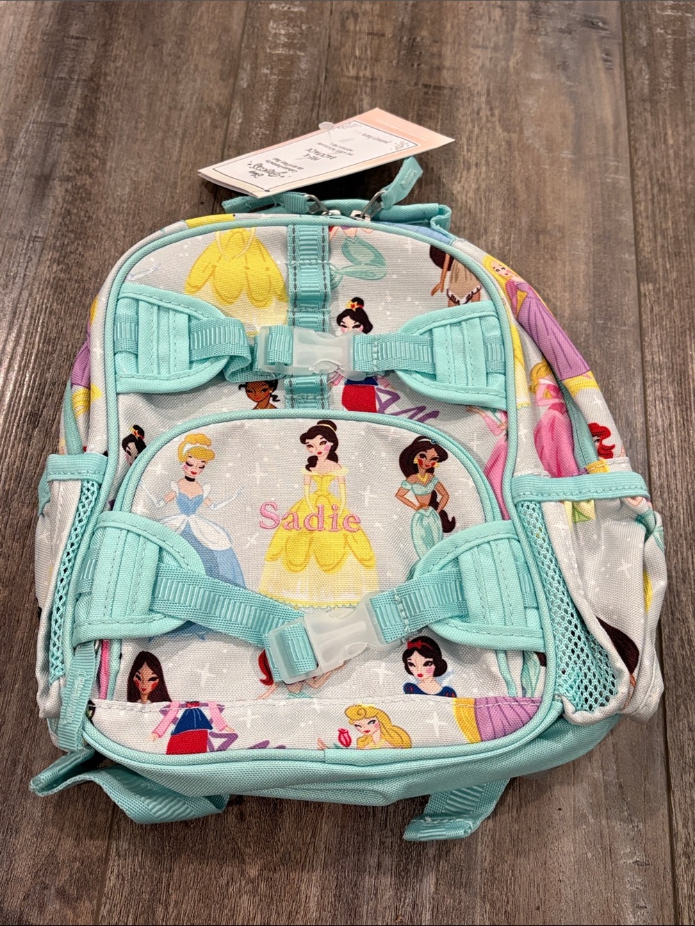 Pottery Barn Kids Disney Princess Small Pre-K Backpack Sadie NEW